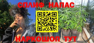 ешки Можга