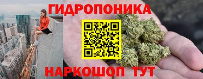 ешки Можга