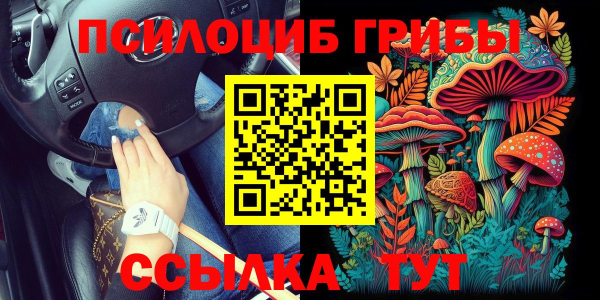Псилоцибиновые грибы прущие грибы  Псилоцибиновые грибы мицелий  Сибай  Вход с VPN 
